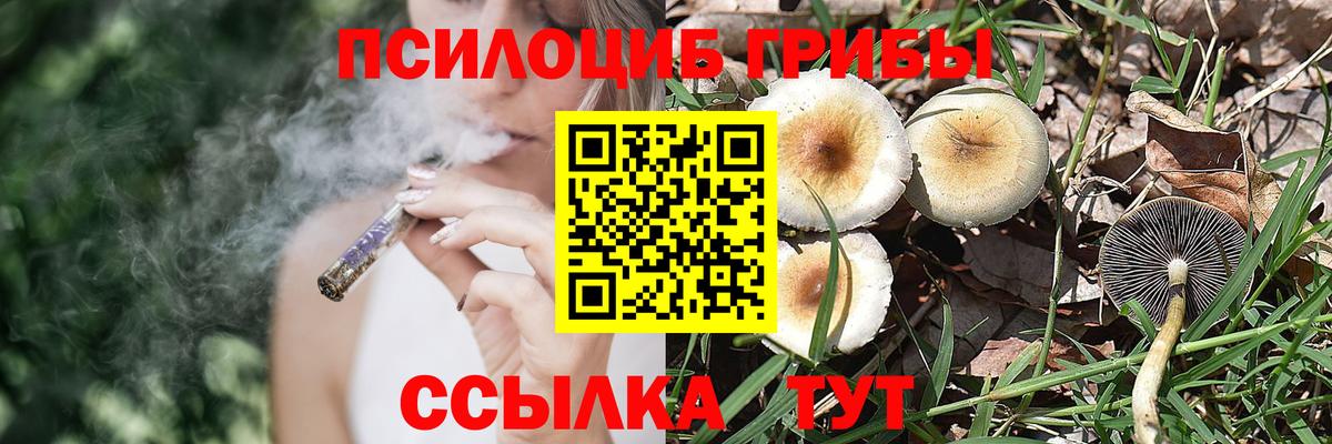 Псилоцибиновые грибы GOLDEN TEACHER Буйнакск