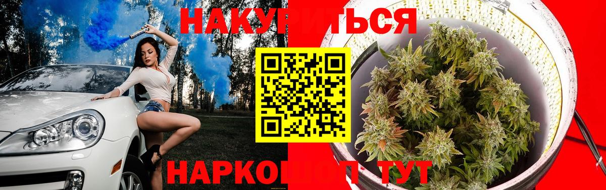 Бошки марихуана план  Вход с VPN  Канабис AK-47  Буйнакск  Шишки марихуана Bruce Banner  Конопля план 